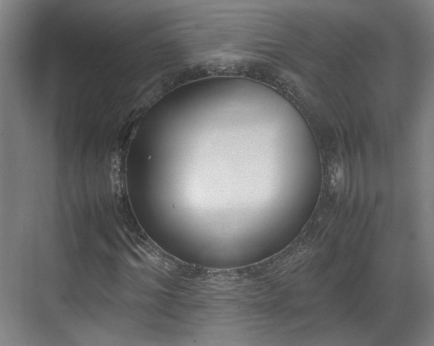 X0000070380964200606161340