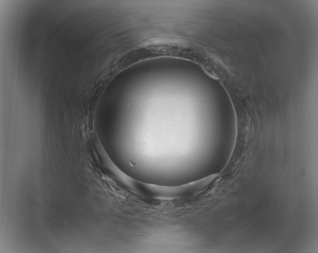 X0000070380965200606161340