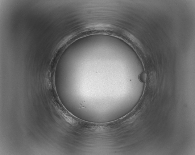 X0000070380970200606161339