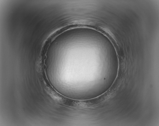 X0000070380971200606161339