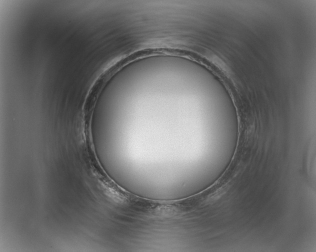 X0000070380974200606161339