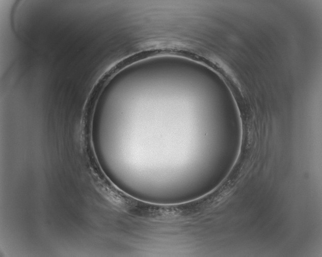 X0000070380975200606161339