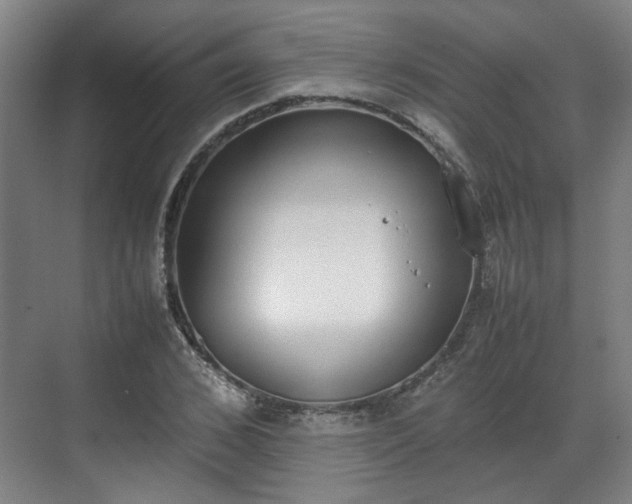 X0000070380976200606161339