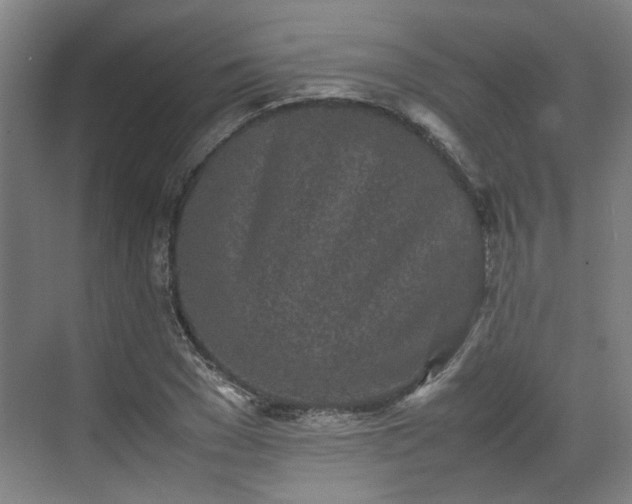 X0000070380977200606161339