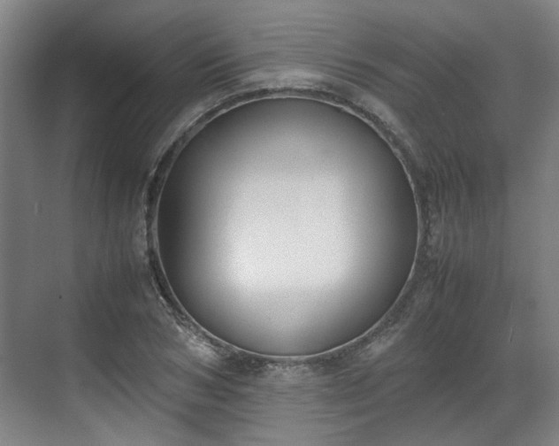 X0000070380978200606161339