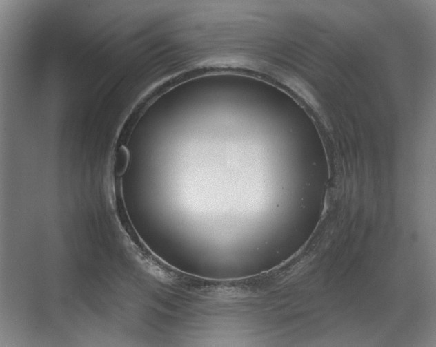 X0000070380984200606161339