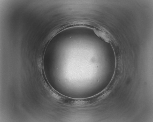 X0000070380985200606161339