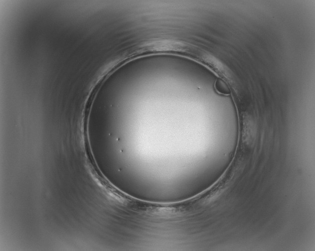 X0000070380986200606161339