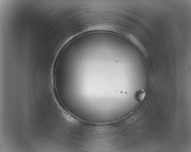 X0000070380988200606161339