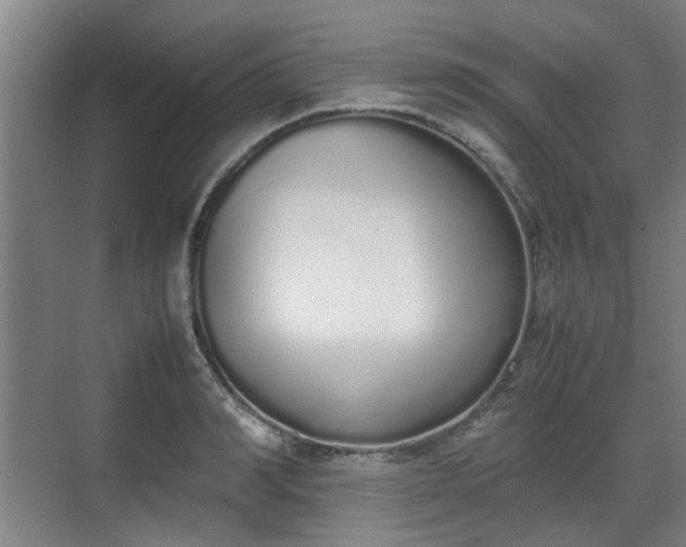 X0000070380990200606161339