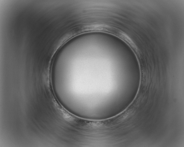 X0000070380994200606161339