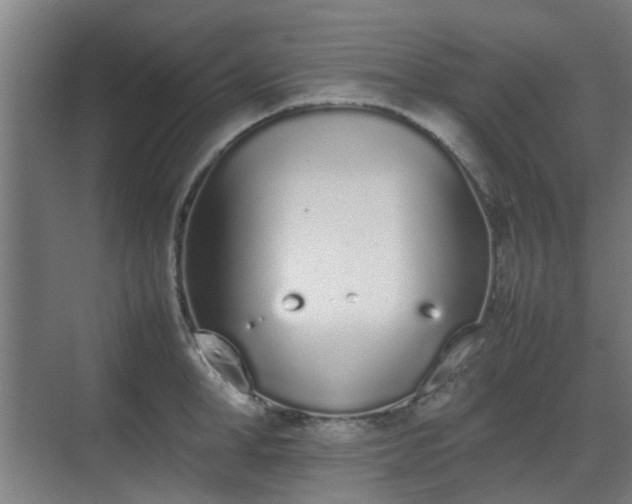 X0000070380998200606161339