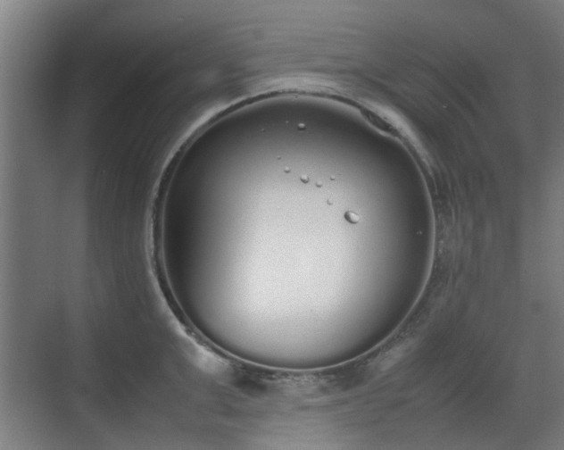 X0000070380999200606161339