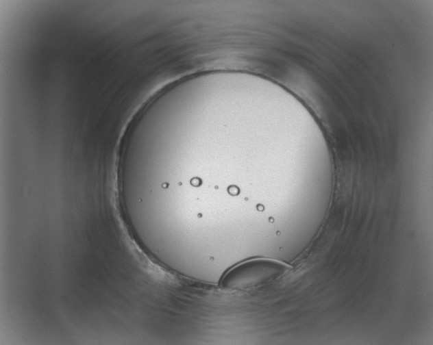 X0000070381000200606161339