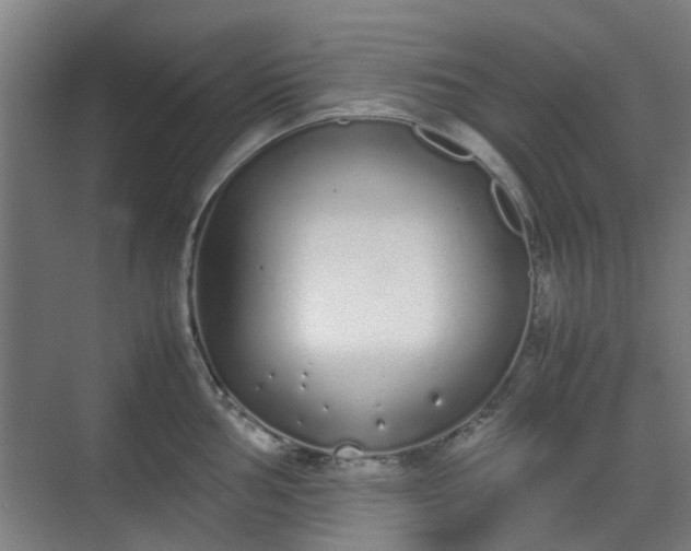 X0000070381002200606161339