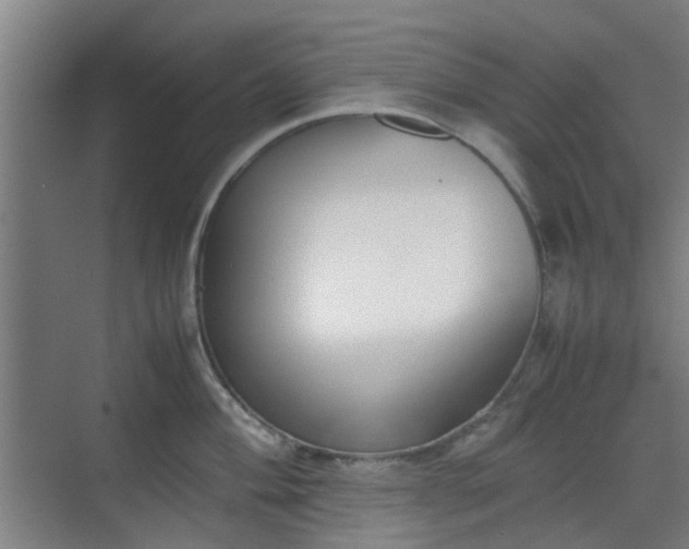 X0000070381004200606161339