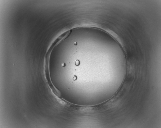 X0000070381006200606161339