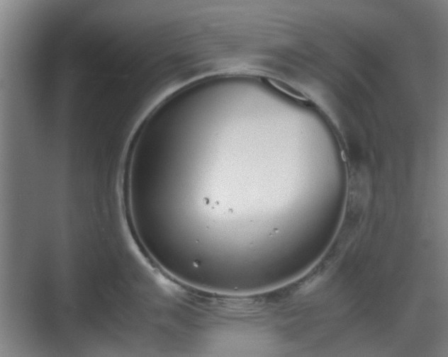 X0000070381007200606161339