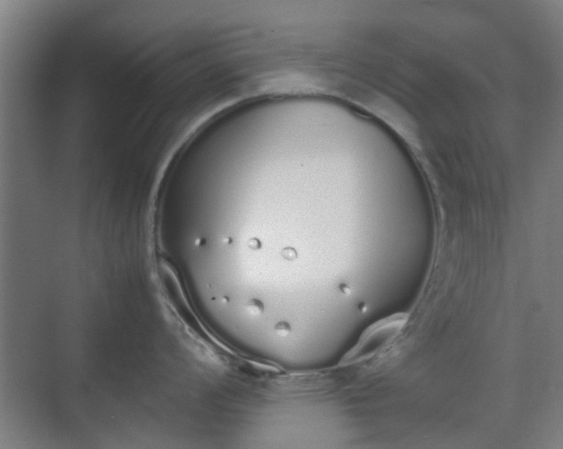 X0000070381008200606161339