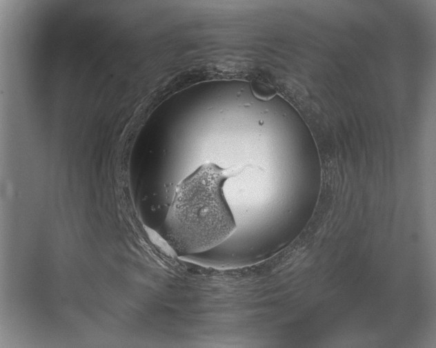 X0000070381009200606161338