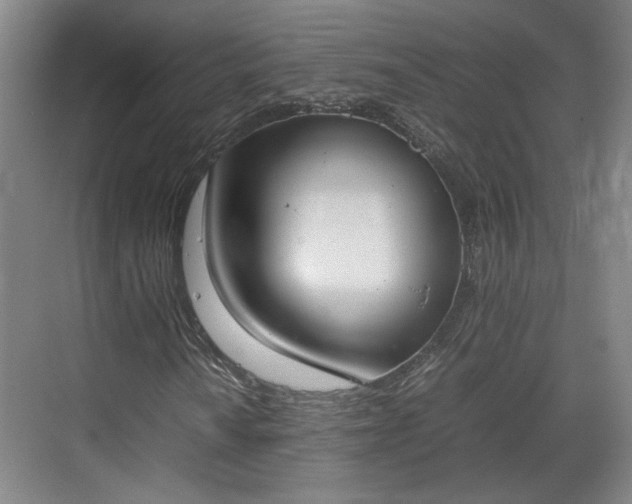 X0000070381010200606161338