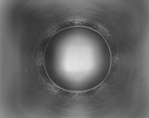 X0000070381014200606161338