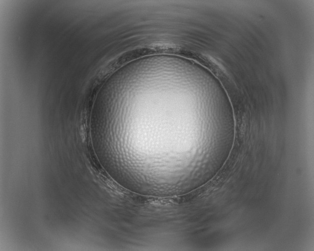 X0000070381015200606161338