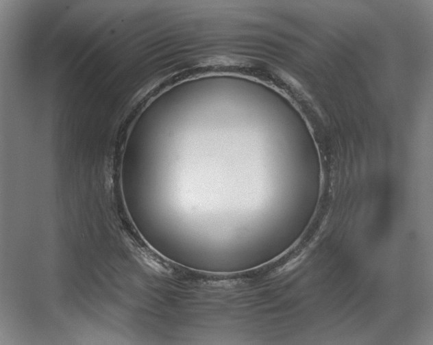 X0000070381017200606161338