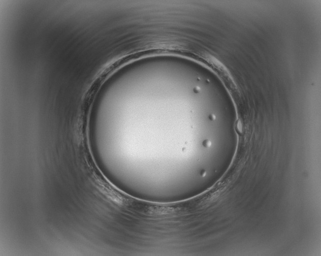 X0000070381019200606161338