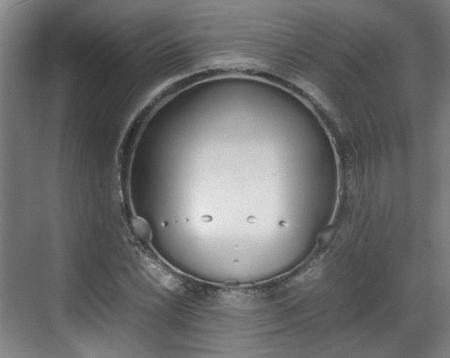 X0000070381022200606161338