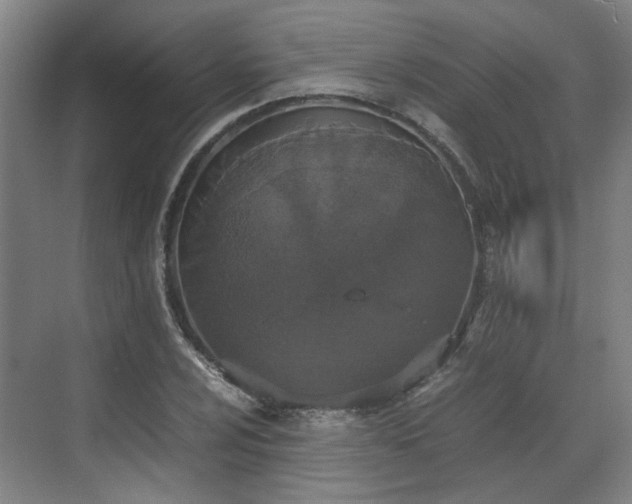 X0000070381024200606161338