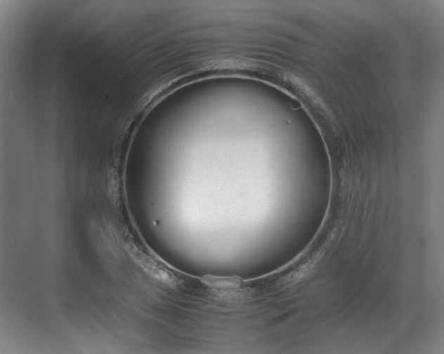 X0000070381025200606161338