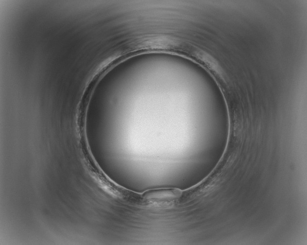 X0000070381026200606161338