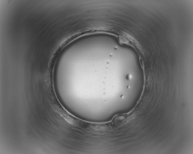 X0000070381027200606161338