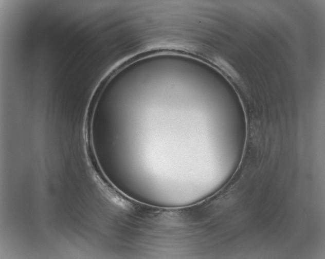 X0000070381028200606161338