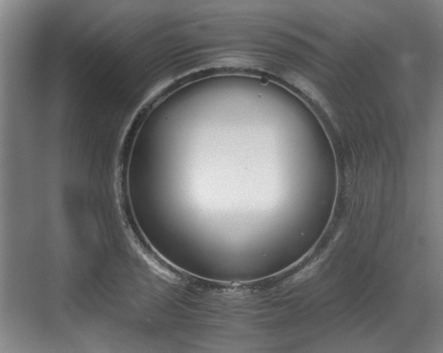 X0000070381029200606161338