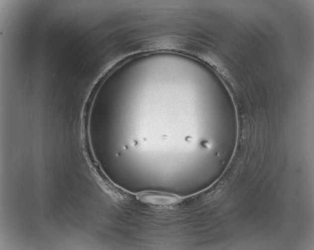 X0000070381031200606161338