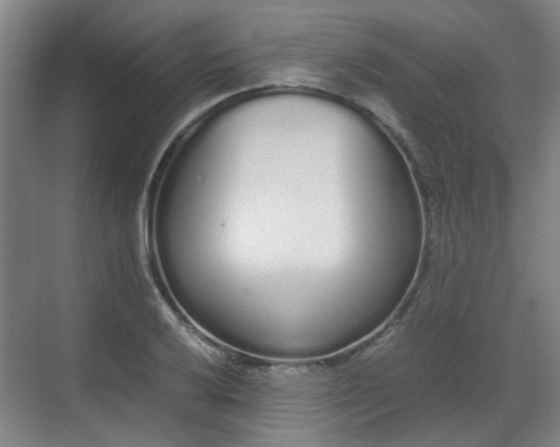 X0000070381032200606161338