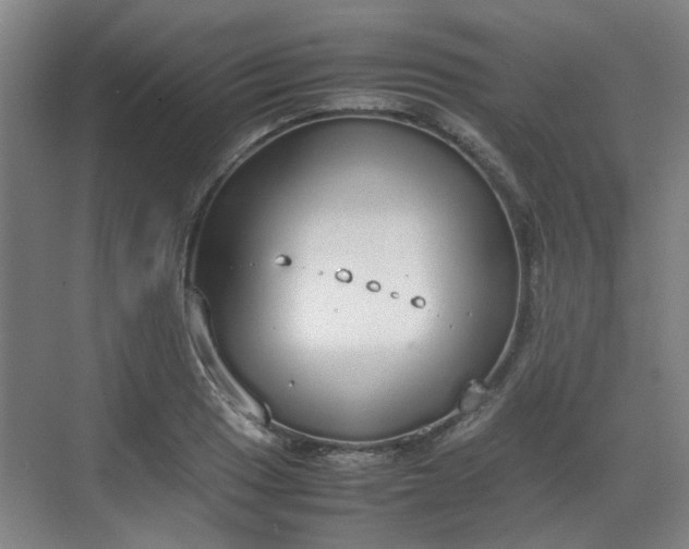 X0000070381033200606161338