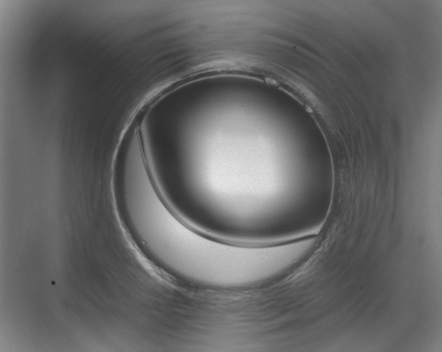 X0000070381034200606161338