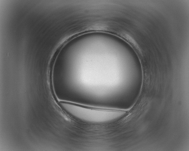 X0000070381035200606161338