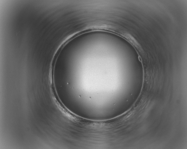 X0000070381036200606161339