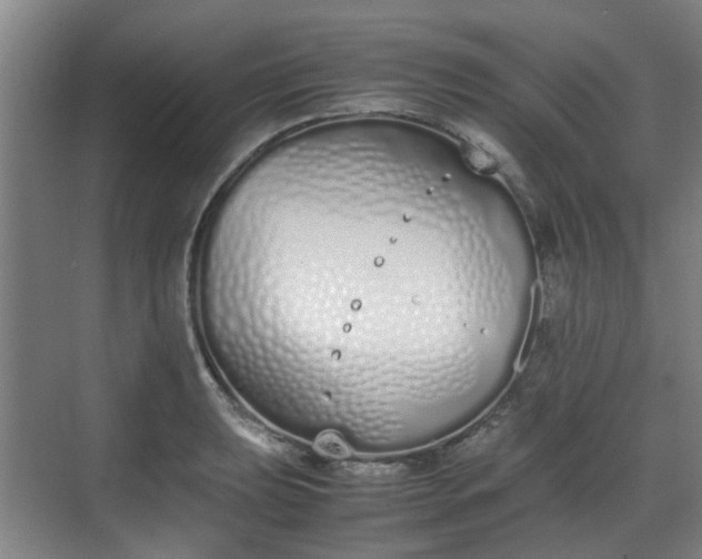 X0000070381039200606161339