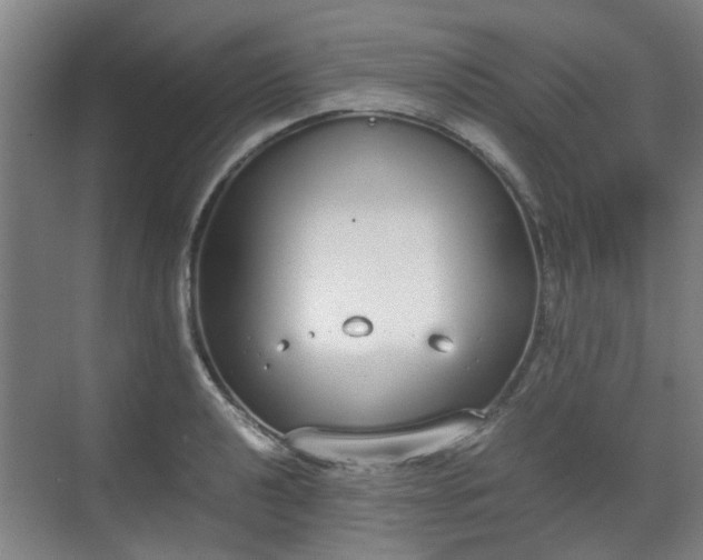 X0000070381040200606161339