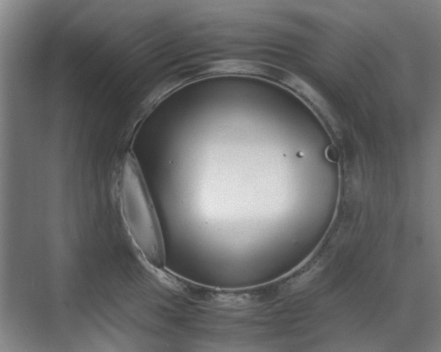 X0000070381049200606161339