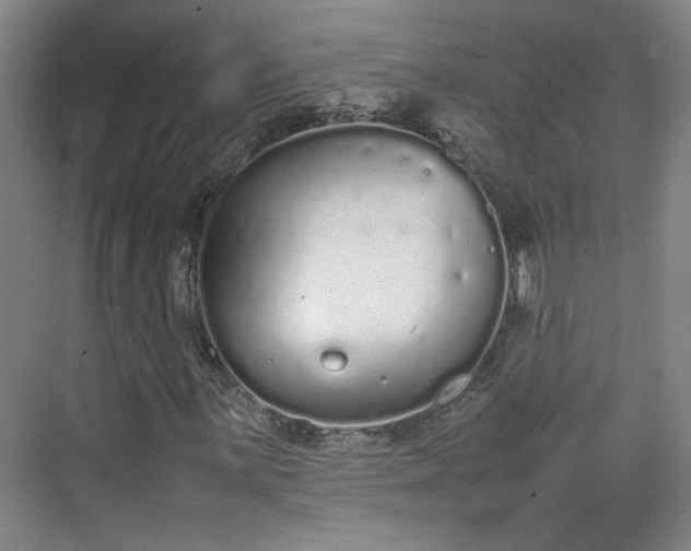 X0000070381059200606161338