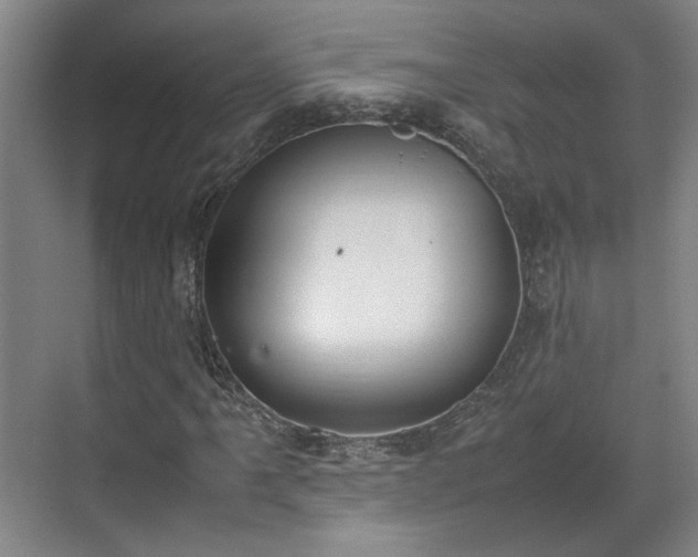 X0000070381061200606161338