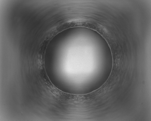 X0000070381062200606161338