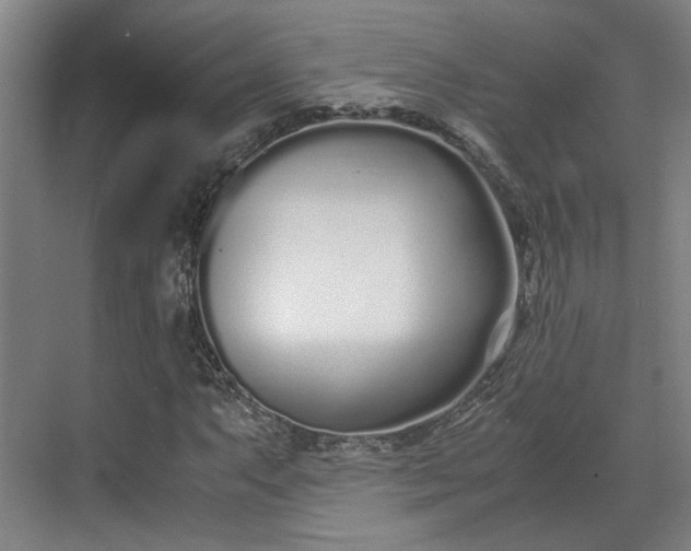 X0000070381063200606161338