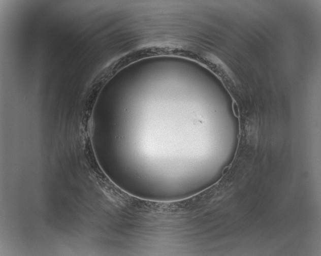 X0000070381064200606161338